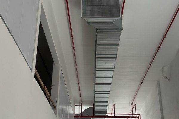 d69ad0e2-89d6-4523-a698-07e27fe4bc9a (2)